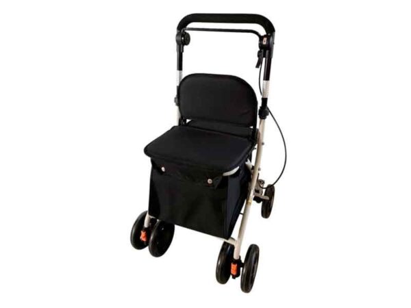 Carro-compra con asiento
