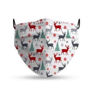 Mascarilla higiénica adulto Renos