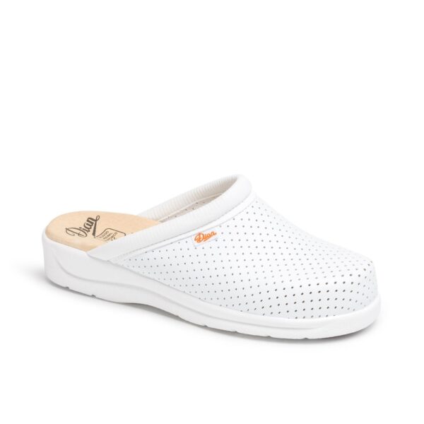 Zueco sanitario blanco