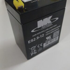 Baterías de plomo 2,9 Ah 12V