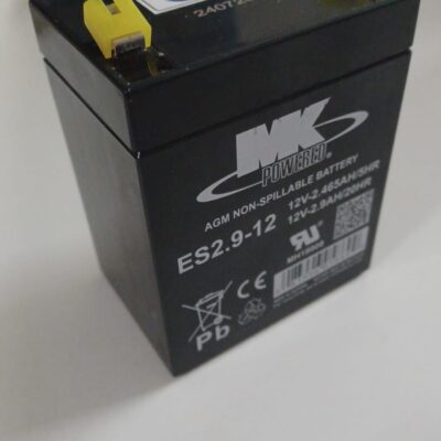 Baterías de plomo 2,9 Ah 12V