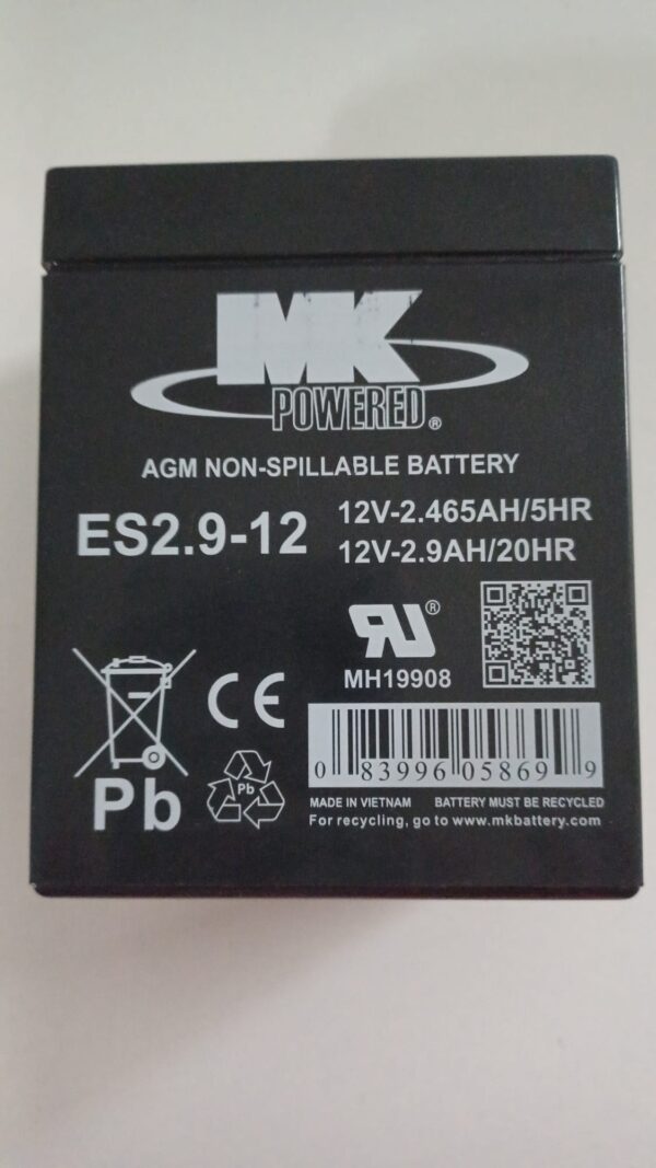 Baterías de plomo 2,9 Ah 12V